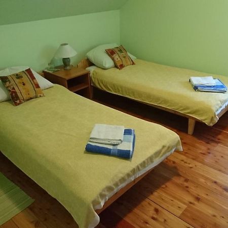 Gajic Apartment Kostolic מראה חיצוני תמונה